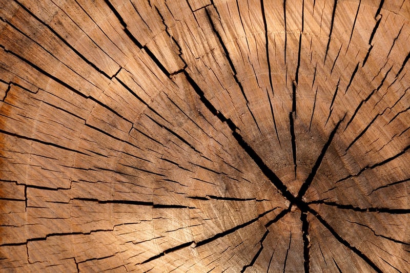 Sustainable Materials